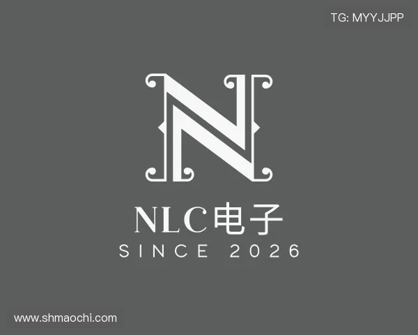 解读NLC电子